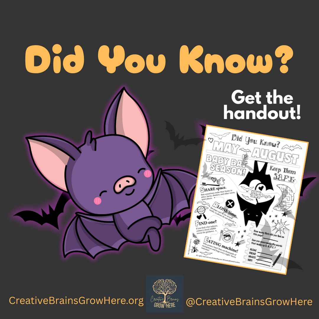 Learn About Bats: Free Downloadable Resource