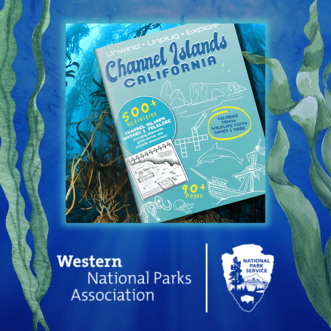 Channel Islands Activity Book News!