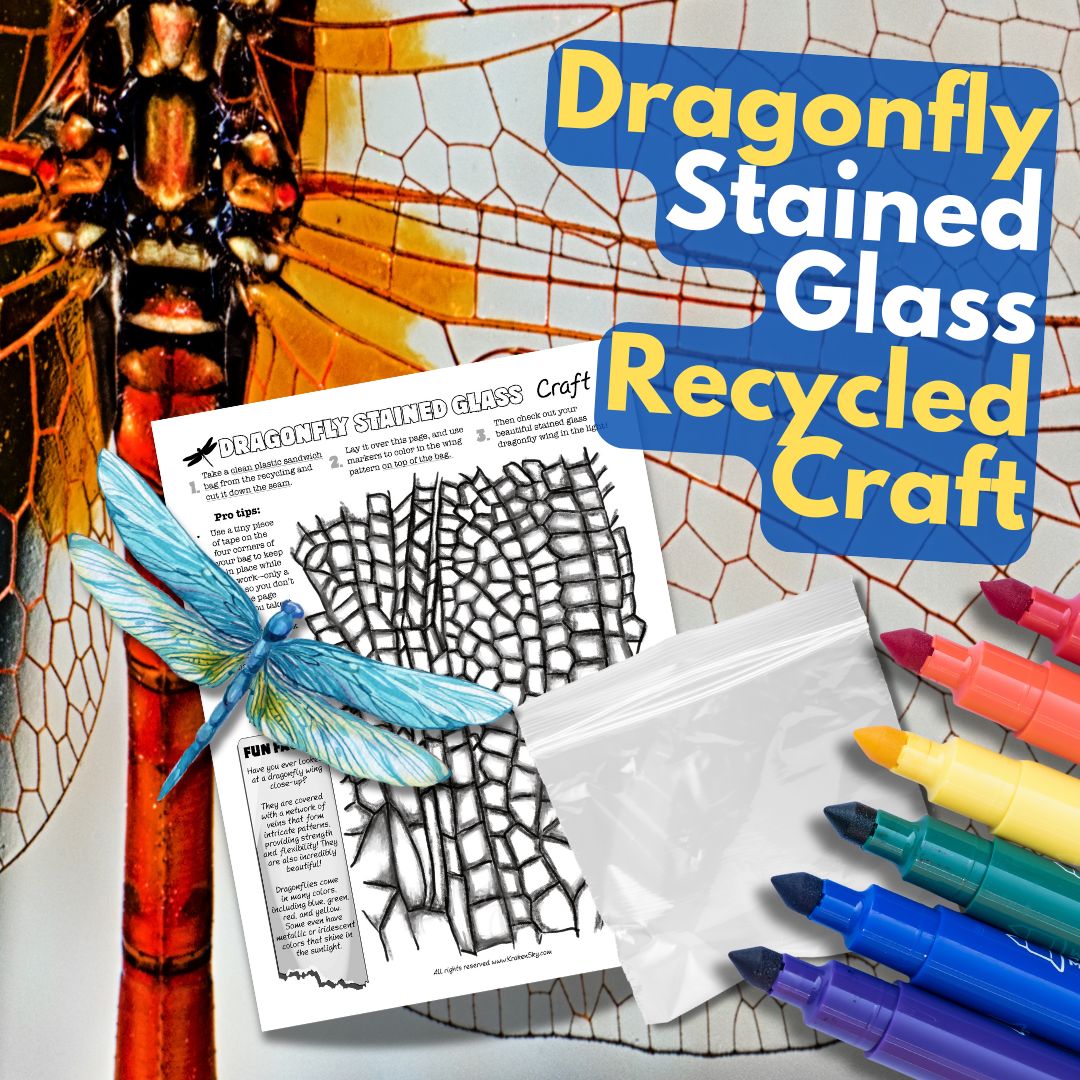 Dragonflies, art, and recycled magic in your classroom