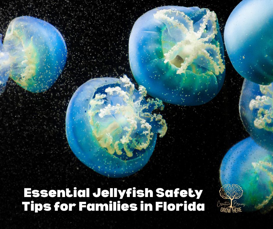 Essential Jellyfish Safety Tips for Families in Florida