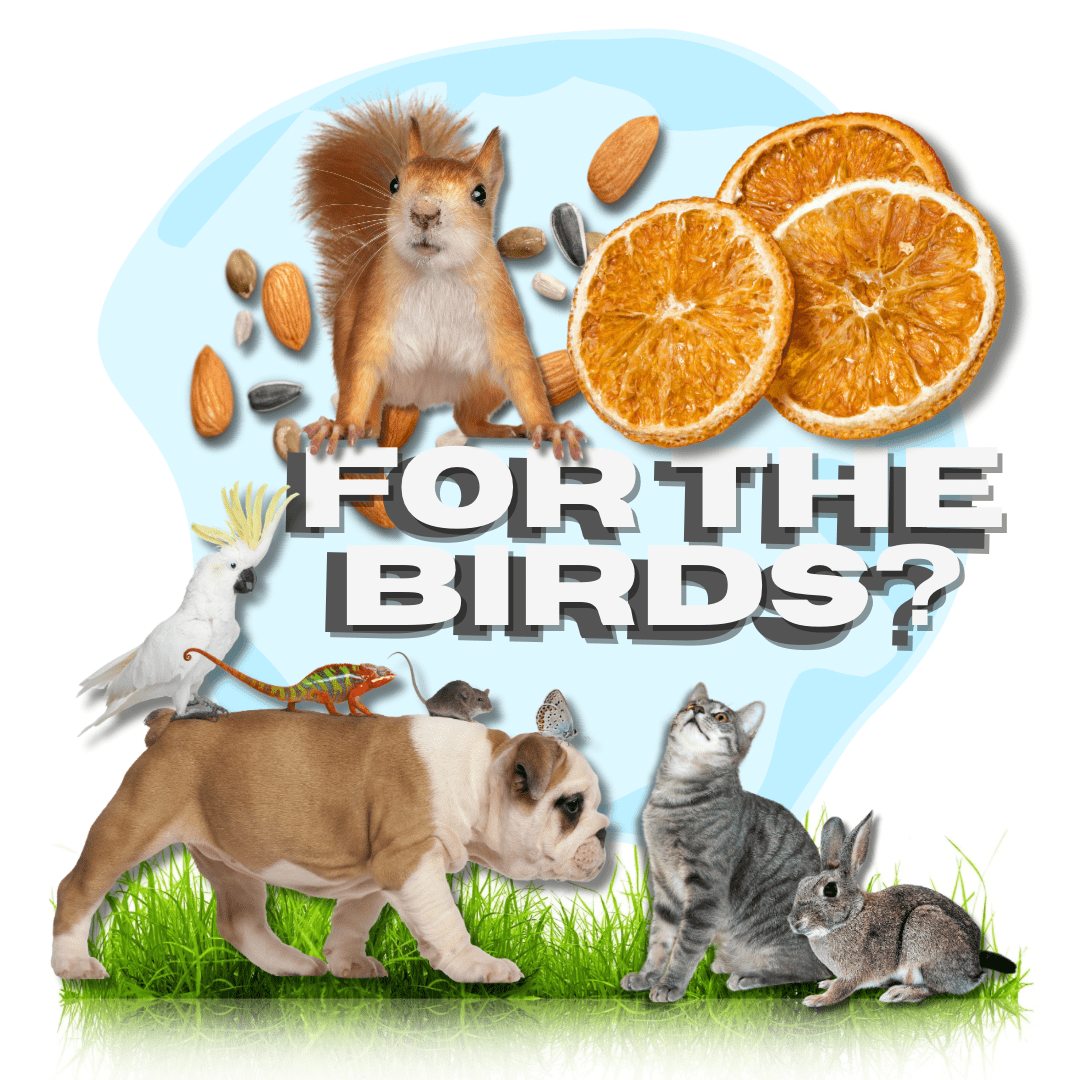 For the birds? Are you sure?