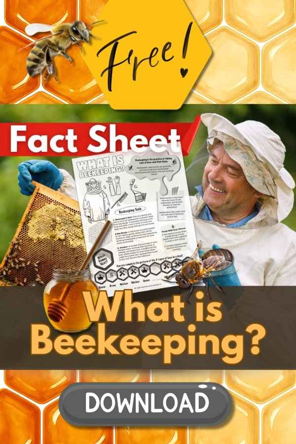 Easy No-Prep Beekeeping Lesson for K–3 (Free Printable!)