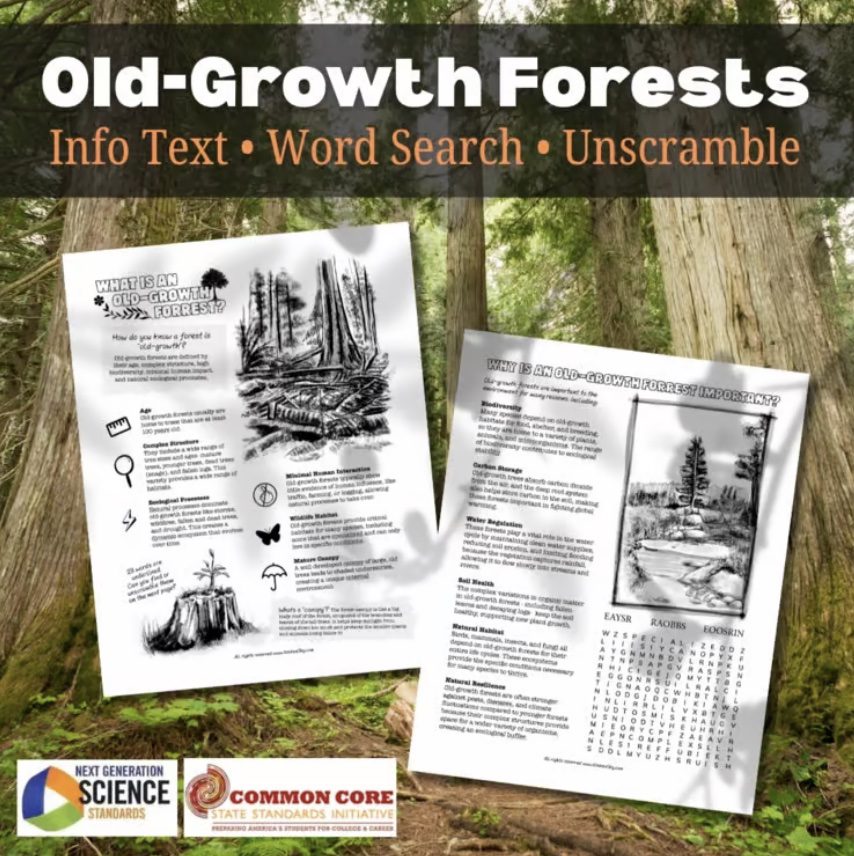 Understanding Old-Growth Forests