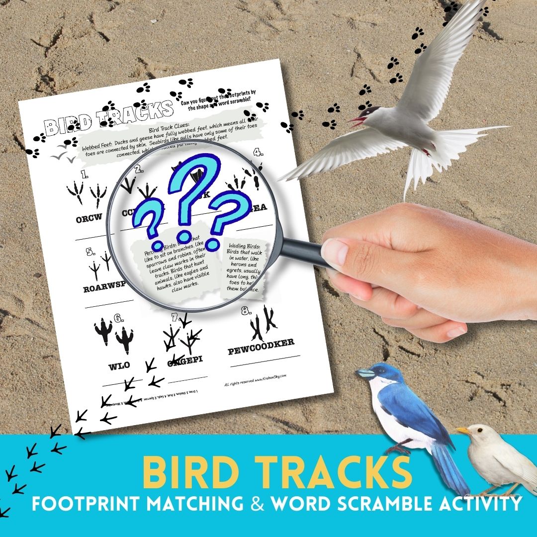 Why Birdwatching Is a Great Activity for Kids