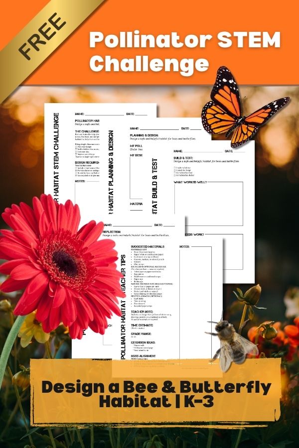 Free Pollinator STEM Challenge: Design a Bee & Butterfly Habitat (K–3)