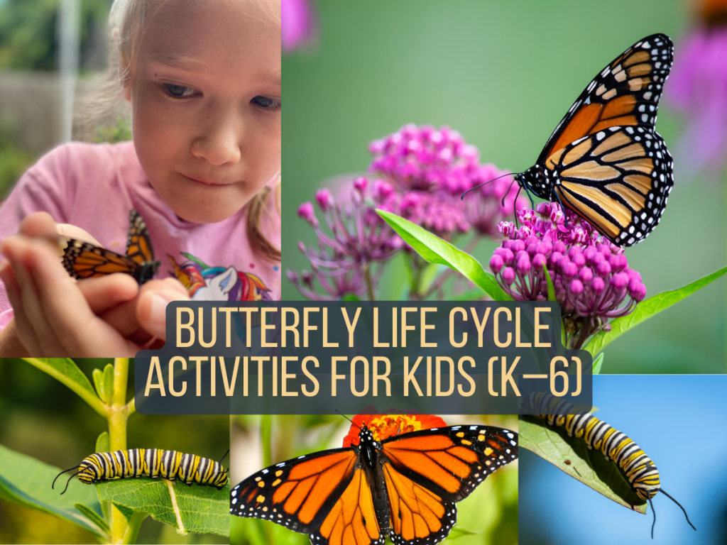 Butterfly Life Cycle Activities for Kids (K–6) - Creative Brains Grow Here