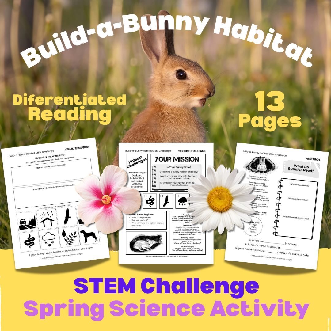 Easy Easter STEM Activity: Build-a-Bunny Habitat Project for Kids