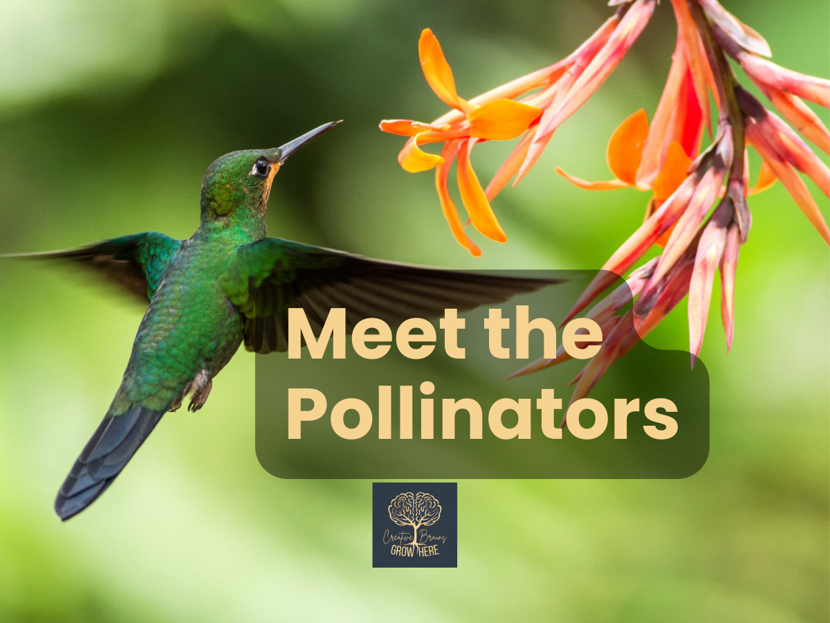 Meet the Pollinators: A Free Spring Science Printable for Kids