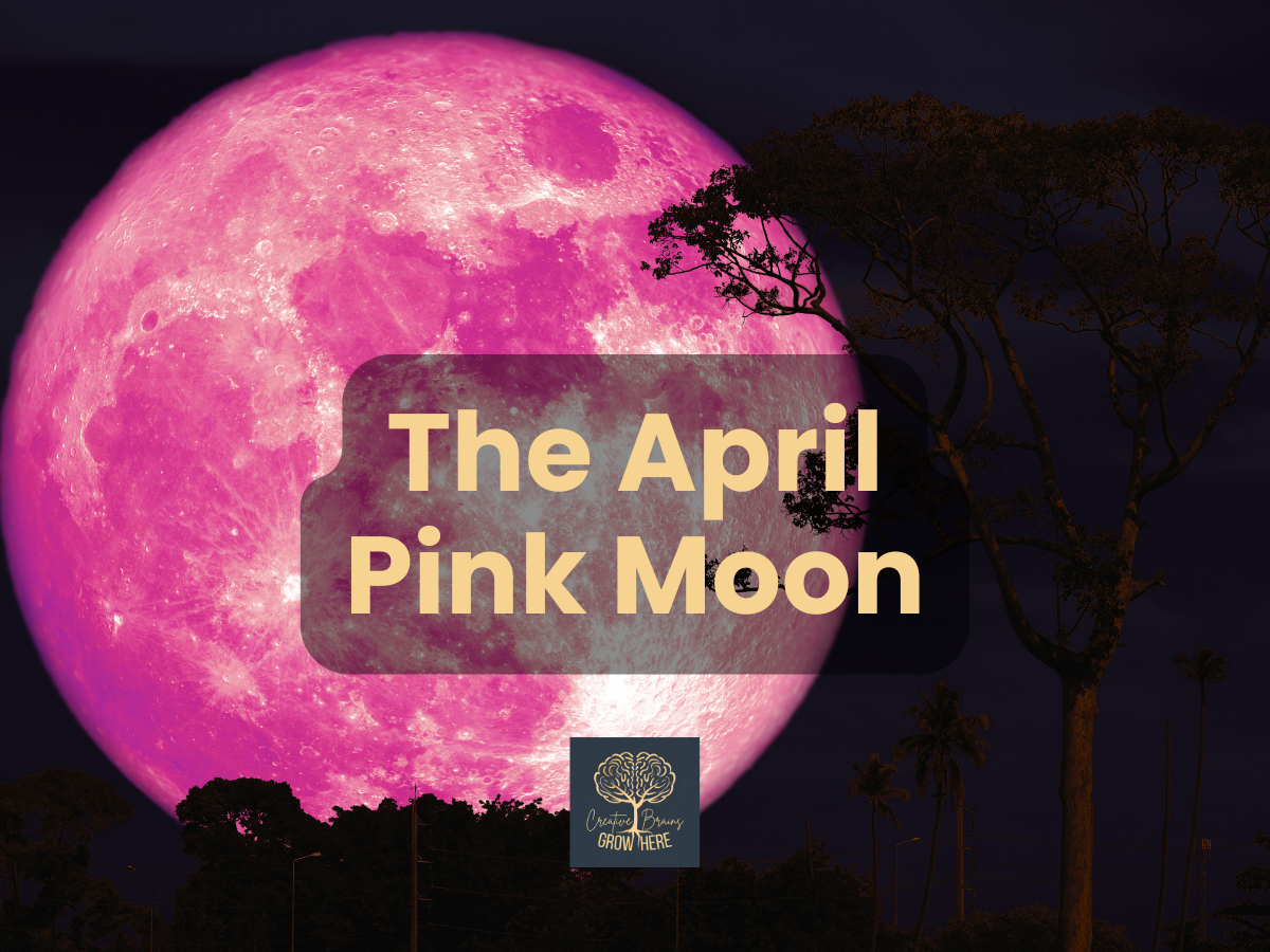 The April Pink Moon: A Simple Moon Observation Activity for Kids