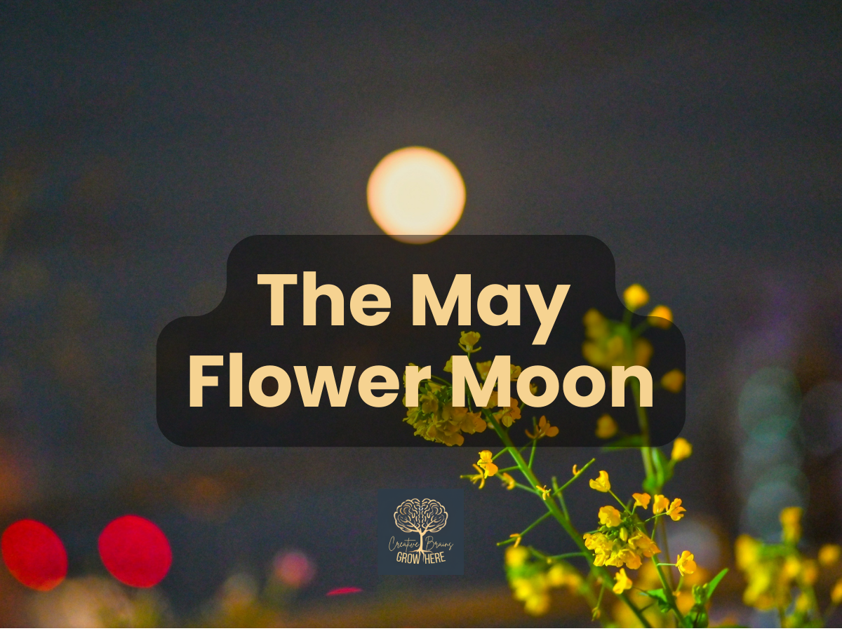 The Flower Moon: A Beautiful Way for Kids to Explore Spring and the Night Sky