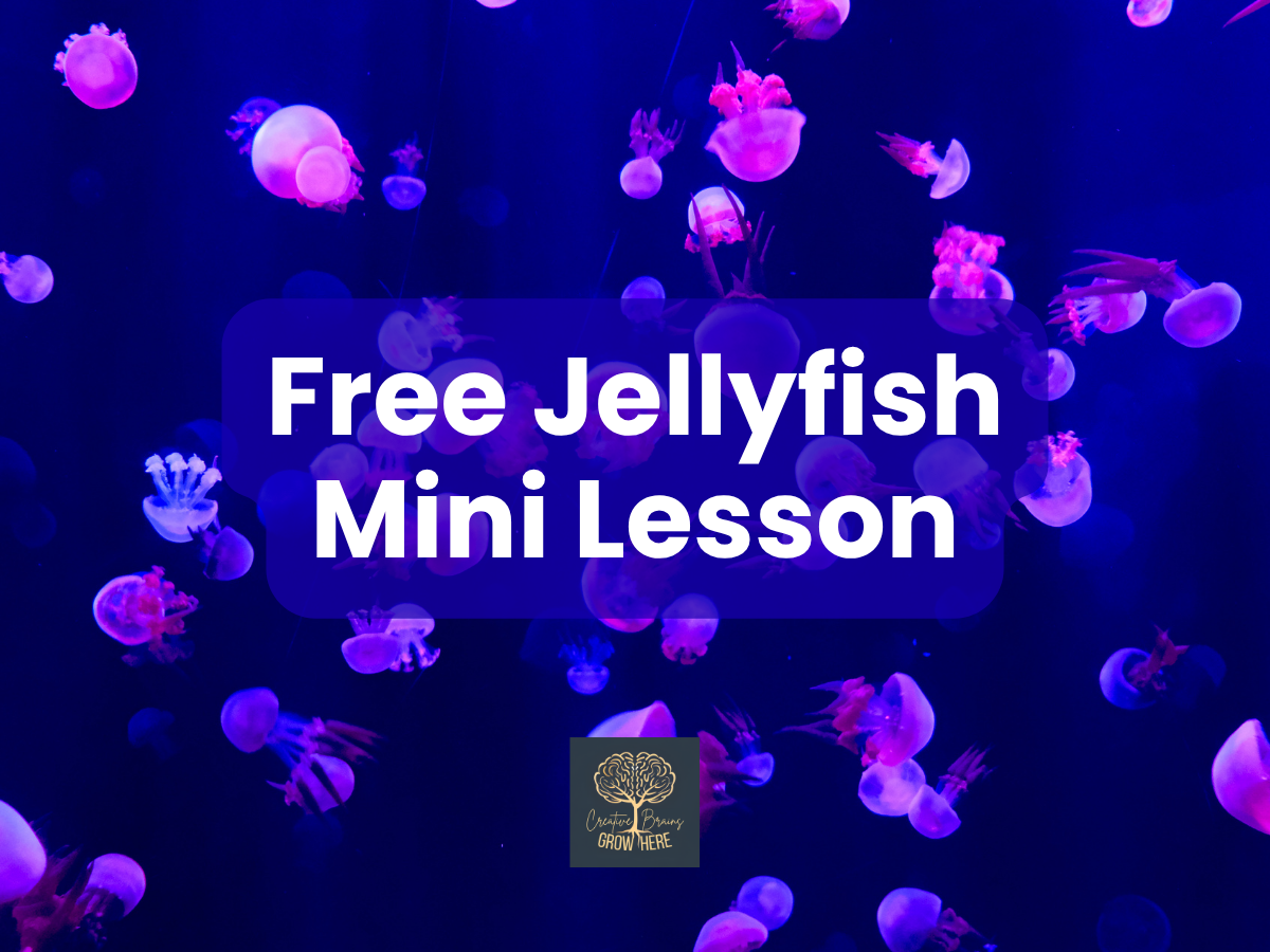 Free Jellyfish Observation Journal Mini Lesson