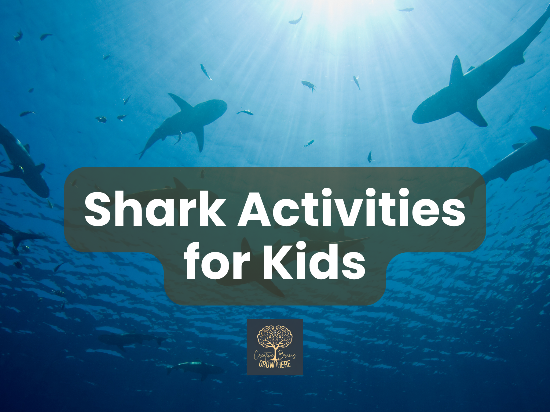 Shark Awareness Day for Kids: Fun Shark Facts, Megalodon, Trivia & Ocean Activities